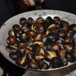 Castagne e sottobosco