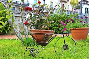 Il giardino fiorito del B&B Lucantò