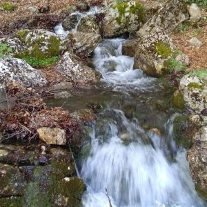 Piccola cascata tra massi coperti di muschio