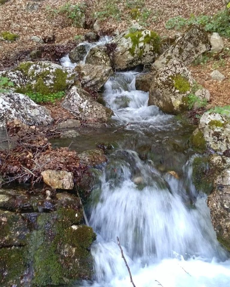 Piccola cascata tra massi coperti di muschio