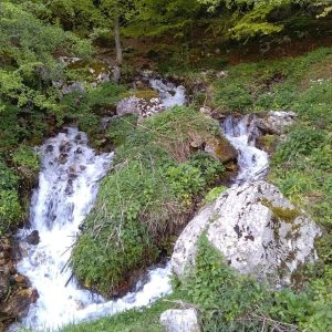 Ruscello che scorre tra rocce e vegetazione nei boschi di Calvello
