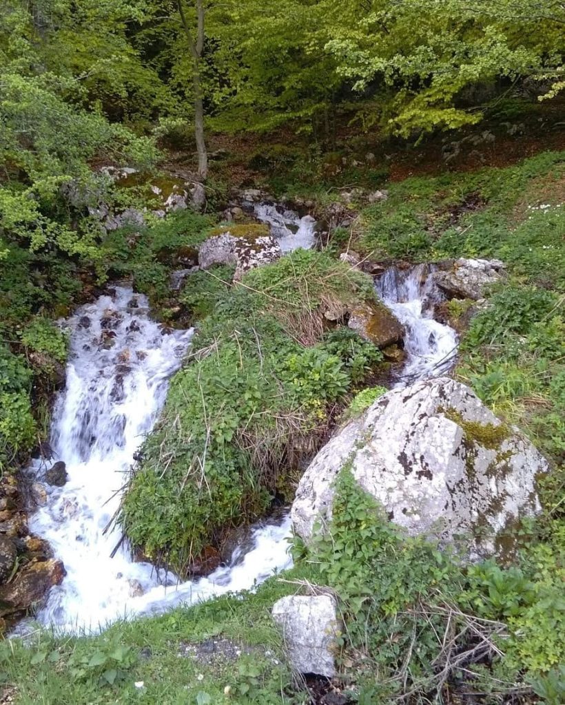 Ruscello che scorre tra rocce e vegetazione nei boschi di Calvello