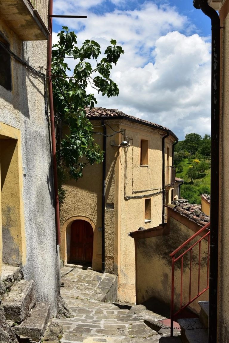 Scorcio del centro storico di Calvello con albero di fico, portone ad arco e scalinata in pietra