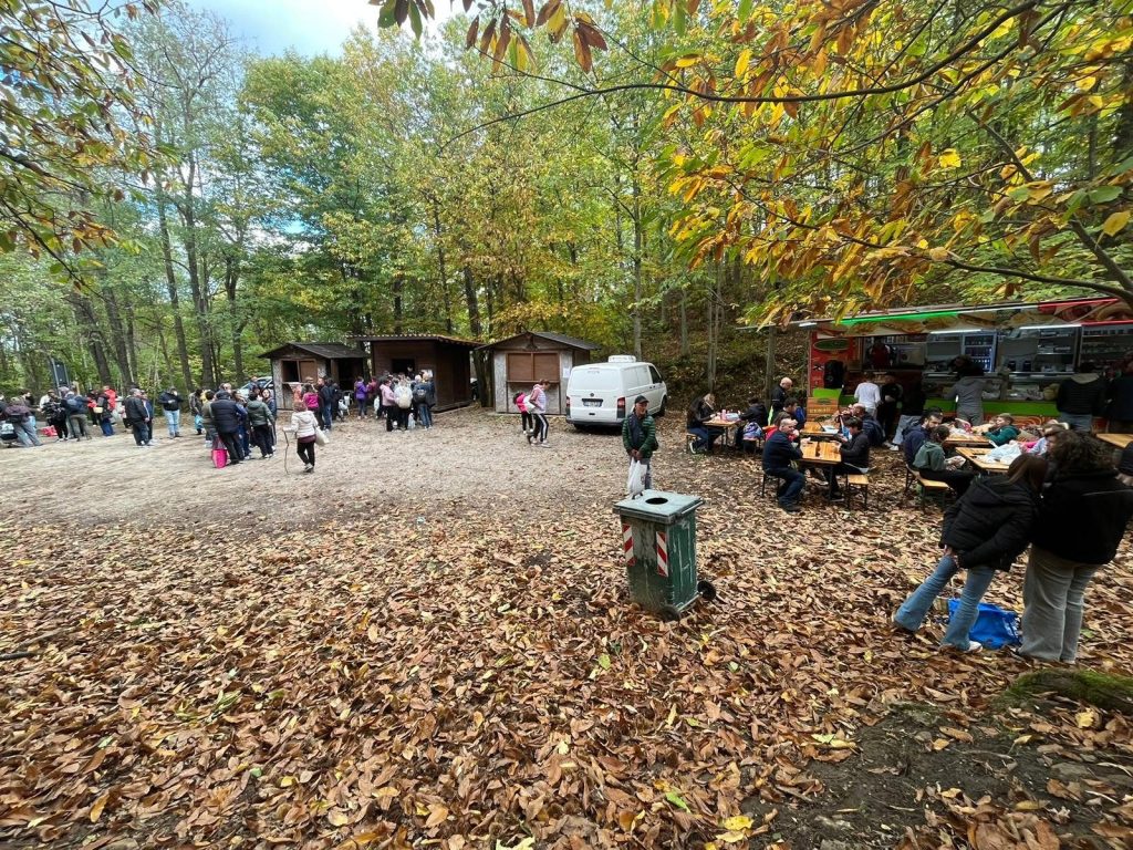 Il castagneto comunale di Calvello in autunno